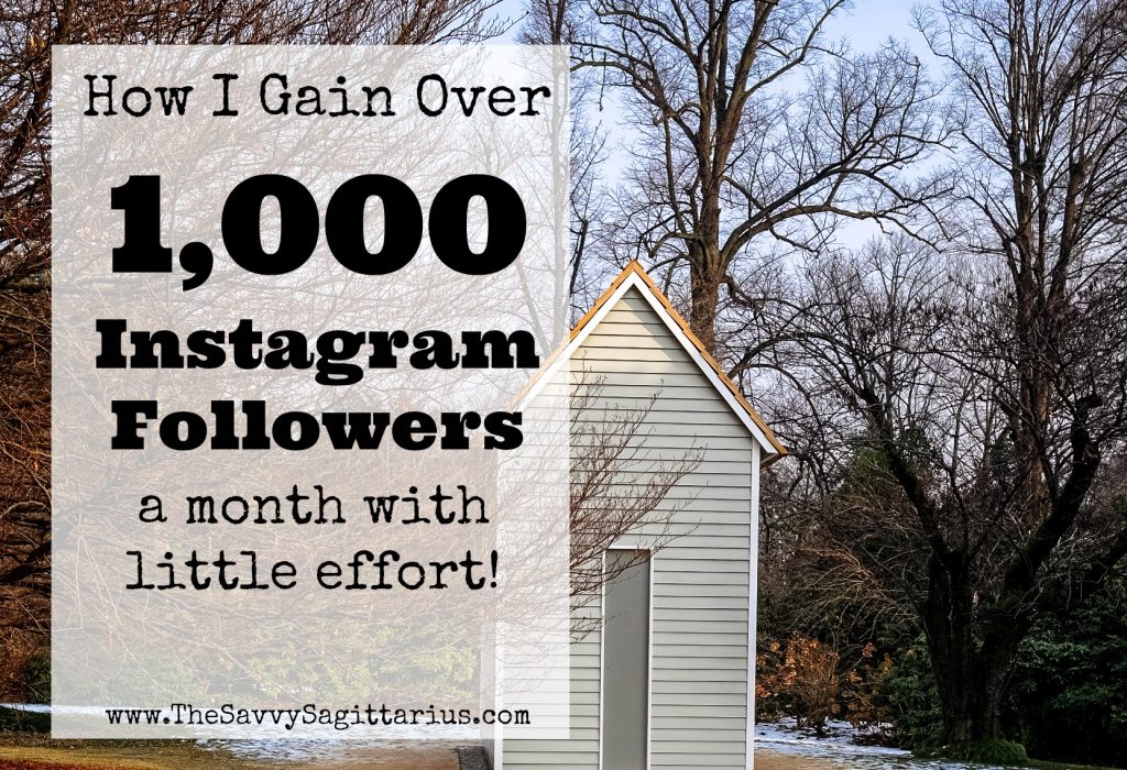 Do you love Instagram, but struggle to get followers, especially ones that actually talk back? Here are a few tips to get the most out of your Insta!